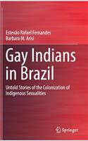 Gay Indians in Brazil