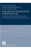 International Vergleichende Sozialforschung