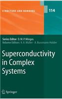 Superconductivity in Complex Systems