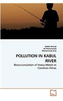 Pollution in Kabul River