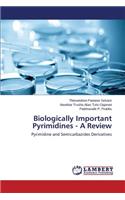 Biologically Important Pyrimidines - A Review