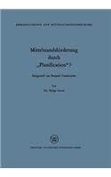 Mittelstandsförderung durch „Planification“?