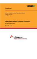 Effect of Negative Emotions in Decisions: A Literature Review