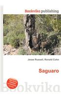 Saguaro