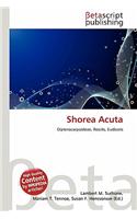 Shorea Acuta: (English)