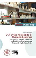 2',3'-Cyclic-Nucleotide 2'-Phosphodiesterase: (English)