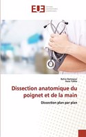 Dissection anatomique du poignet et de la main