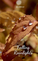 Falling Rainlights