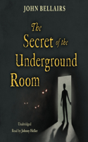 Secret of the Underground Room