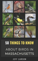 50 Things to Know About Birds in Massachusetts