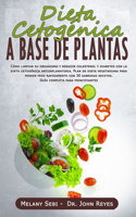 Dieta Cetogénica a Base de Plantas