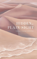 Hidden in Plain Sight: Finding a Seemingly Hidden God