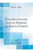 Énumération des Algues Marines de Bastia (Corse) (Classic Reprint)