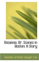 Rosanna; Or, Scenes in Boston