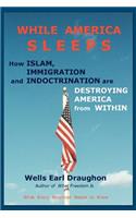 While America Sleeps