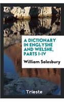 A Dictionary in Englyshe and Welshe Moche Necessary to All Suche Welshemen as Wil Spedly Learne ...