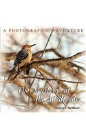 The Mystery at the Birdfeeder