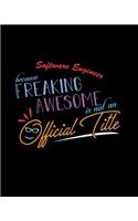 Software Engineer Because Freaking Awesome is not an Official Title