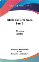 Jakob Van Der Nees, Part 3