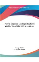 Newly Exposed Geologic Features Within the Old 8,000 Acre Grant