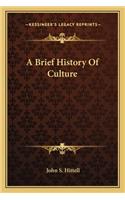Brief History Of Culture