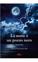 La Notte e Un Pozzo Nero: (Italian)