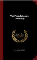 The Foundations of Geometry