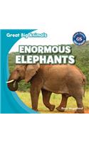 Enormous Elephants