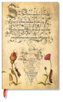 Paperblanks Flemish Rose Mira Botanica Hardcover Ultra Lined Elastic Band Closure 144 Pg 120 GSM