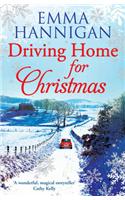 Driving Home for Christmas