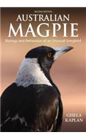 Australian Magpie: Biology and Behaviour of an Unusual Songbird