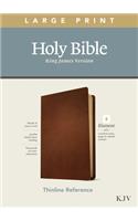 KJV Large Print Thinline Reference Bible, Filament Edition