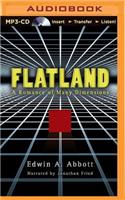 Flatland
