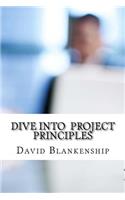 Dive into Project Principles