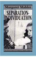 Separation--Individuation