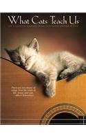 What Cats Teach Us