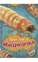 Mealworms
