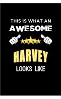 This Is What An Awesome Harvey Looks Like