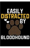 Easily Distracted by Bloodhound