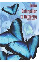 From Caterpillar to Butterfly