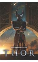 THOR Notebook