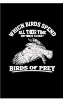 Birds of prey