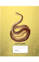 Snake Boa Constrictor Composition Book Wide Ruled: Notebook 200 pages 100 sheets