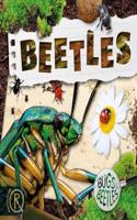 Beetles: (Bugs and Beetles)