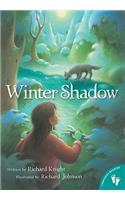 Winter Shadow Chapter