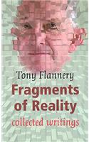 Fragments of Reality