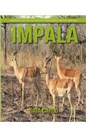 Impala