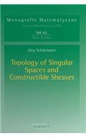 Topology of Singular Spaces and Constructible Sheaves