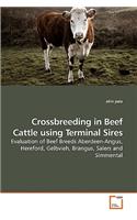 Crossbreeding in Beef Cattle using Terminal Sires