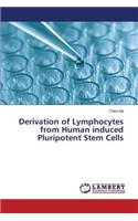 Derivation of Lymphocytes from Human induced Pluripotent Stem Cells